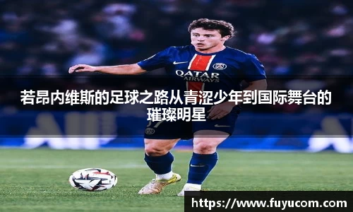 若昂内维斯的足球之路从青涩少年到国际舞台的璀璨明星
