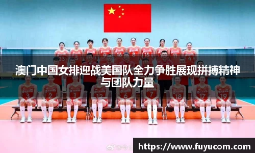 3377体育
